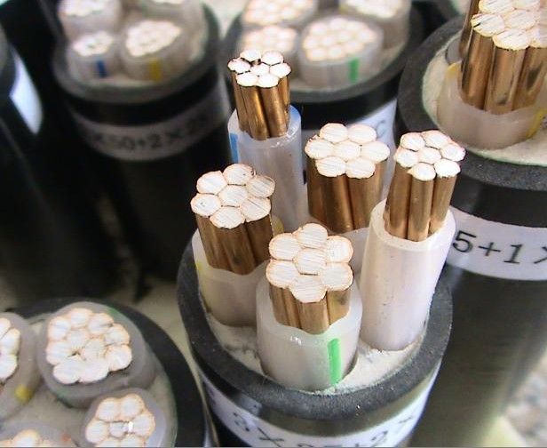 1627612169124495.jpg 1622444775.28960b48ae7469005.75099063.jpg