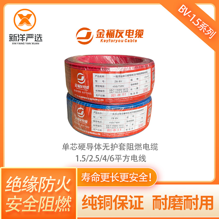 1677223455225121.jpg BV-1 (1).jpg